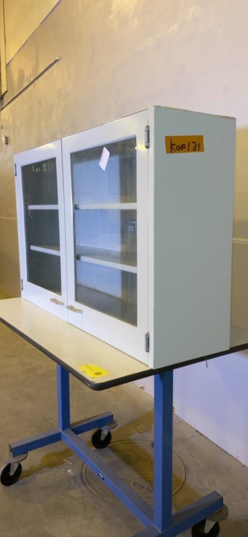 48x13x30" St. Charles Overhead Casework Cabinet w/ Swinging Doors(S6LLST4340)
