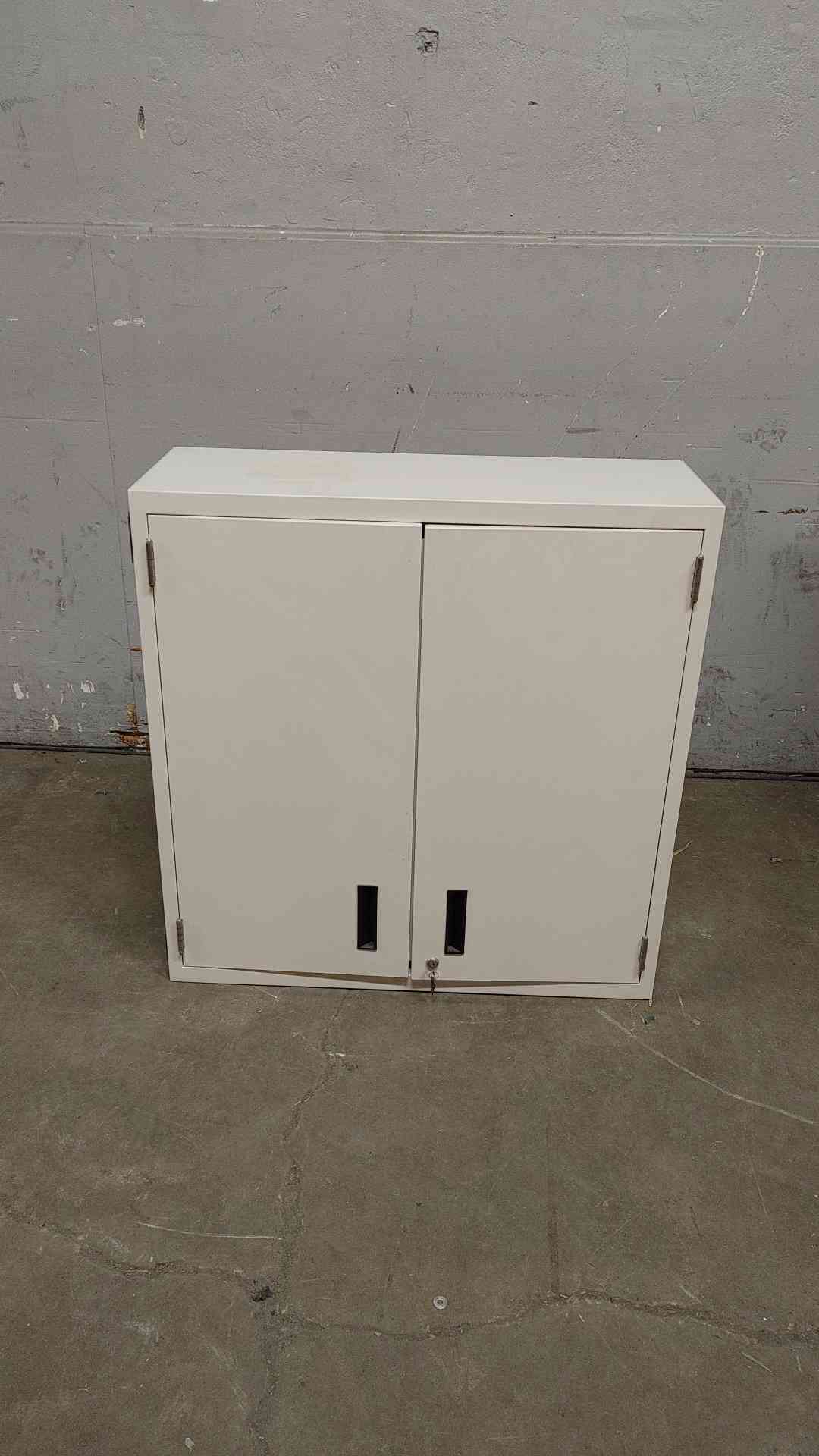3' Lab Crafters Overhead Casework Swinging Metal Doors (108639)