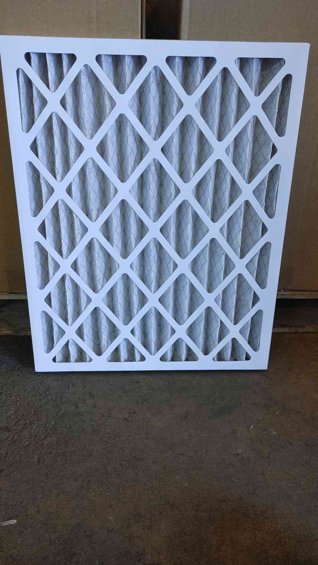 NEW Box of 12 Air Guard DP Max 20×25×2 0450204(SKU: 109881)