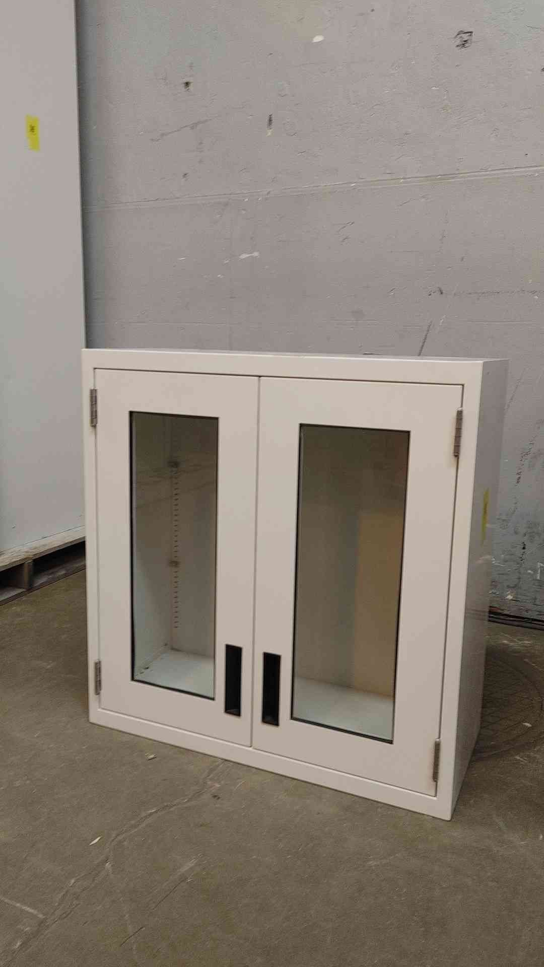 30" Recessed Dual Swinging Glass Door Overhead Casework Cabinet (108753)