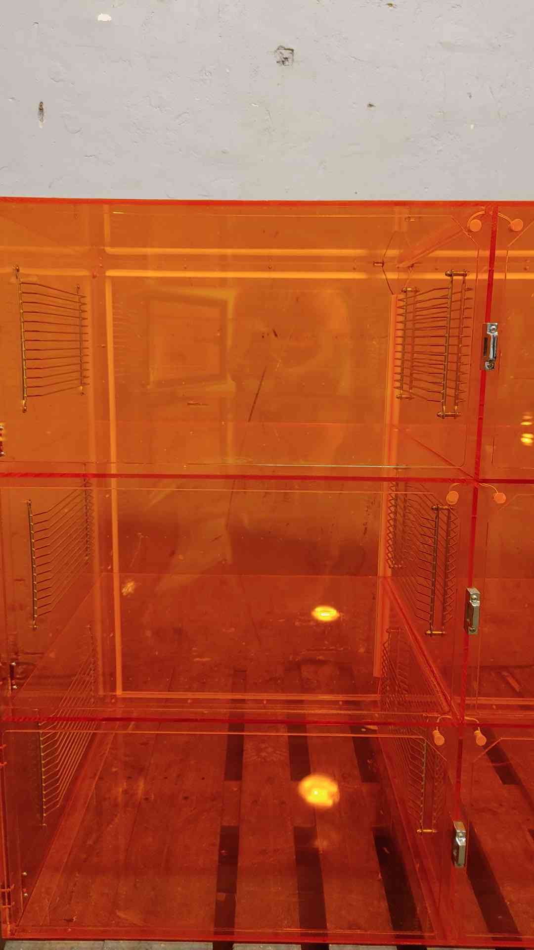 TerraUniversal 6 Door Desiccator Amber Acrylic Cabinet (108620)