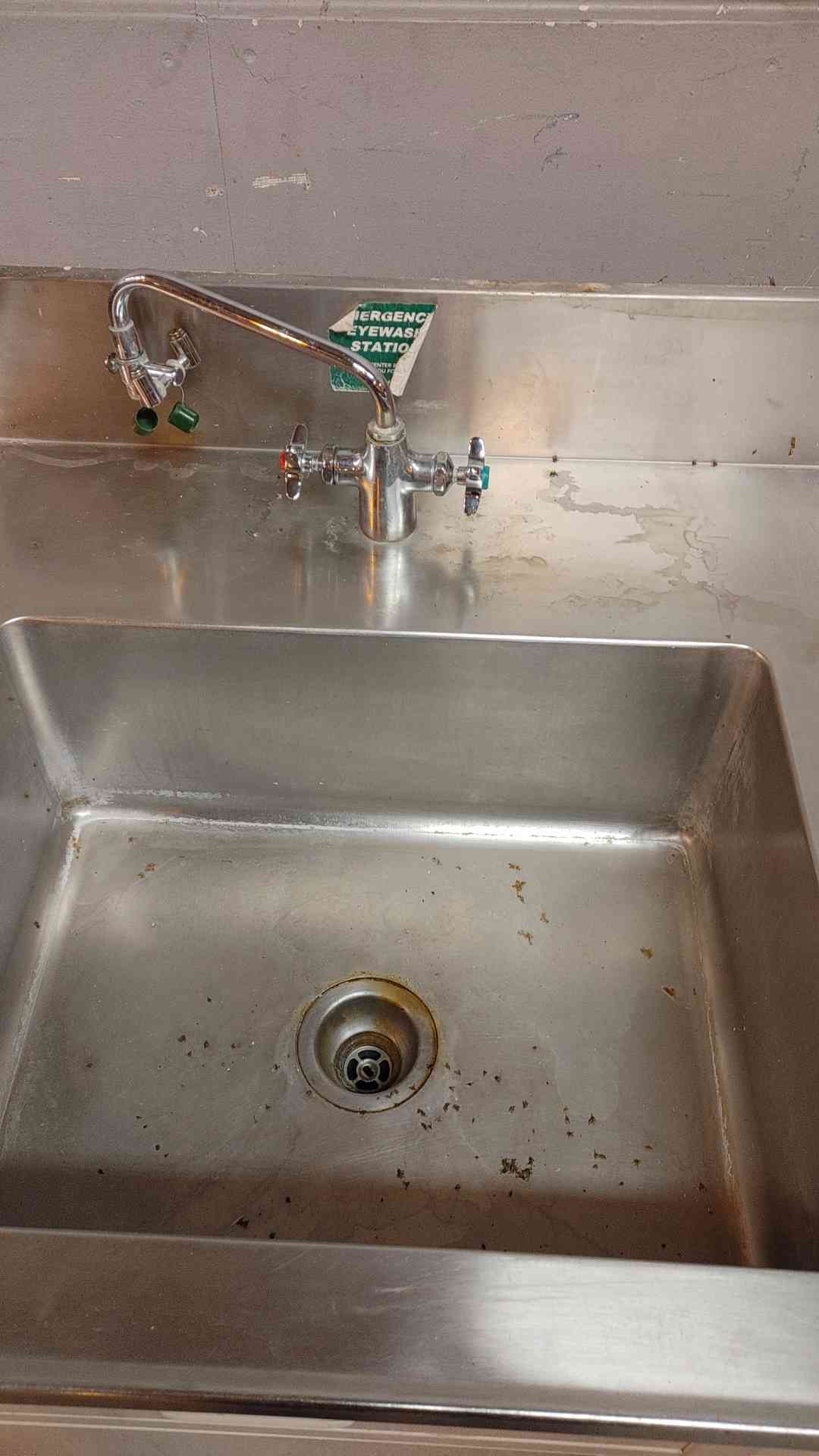 Hamilton 4' Stainless Doors Sink Basin Combo Metal Lab Casework Standing (109147)