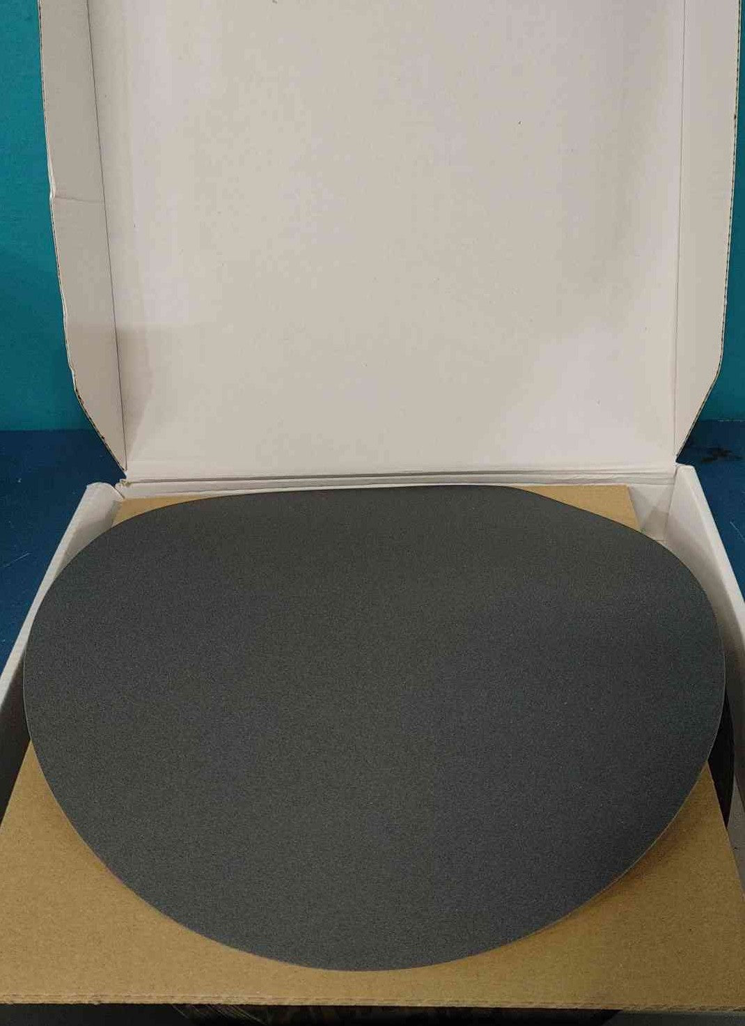 Buehler CarbiMet S 10" Abrasive Grinding Discs 240 Grit P280 16-10-0240 SiC 10in