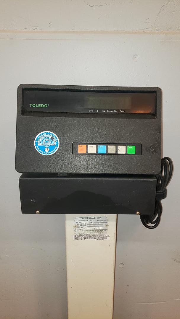 Toledo Rolling Digital Scale 2136 Platform(S6LLST10346)