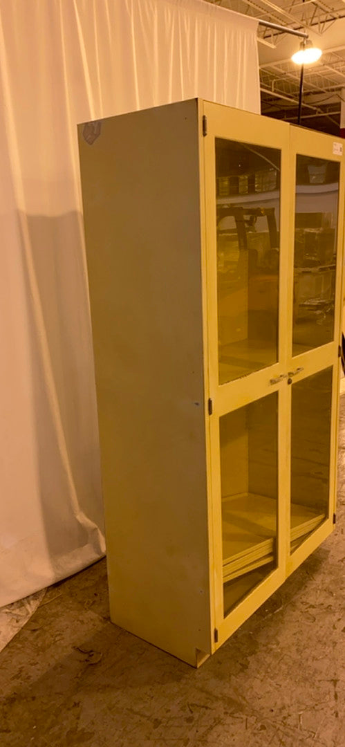 48x22x84 Tall Glass Lab Storage Cabinet Casework(S6LLST2946)
