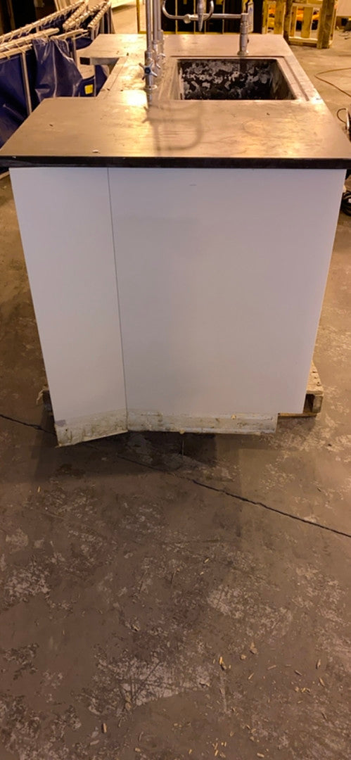 68"x33"x36" Lab Sink w/ Casework Faucets Eyewash(S6LLST2724)