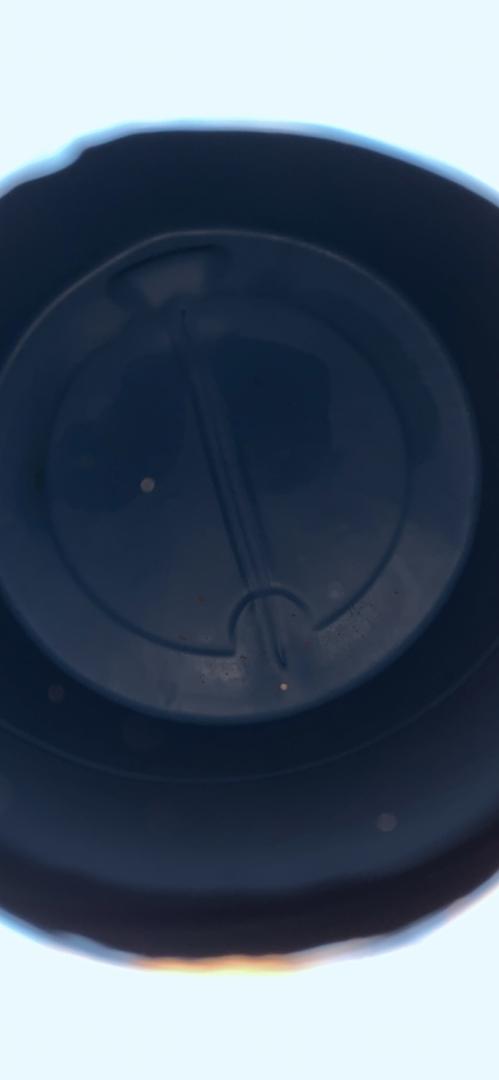 *Pickup Only* 50 Gal Plastic Liquid Storage Drum Container w/ Lid(S6LLST6415)