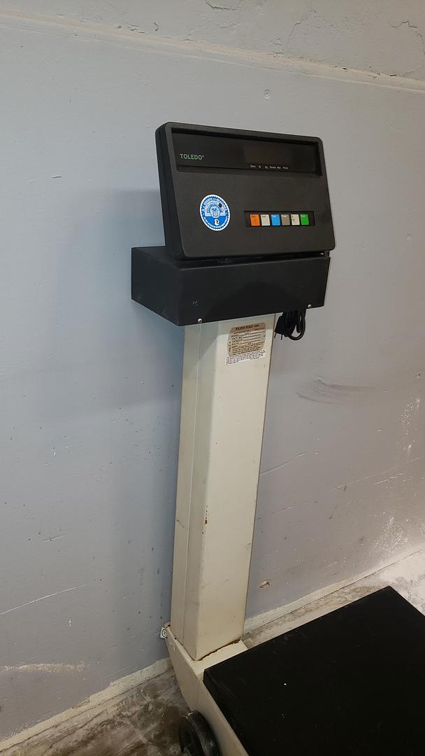 Toledo Rolling Digital Scale 2136 Platform(S6LLST10346)