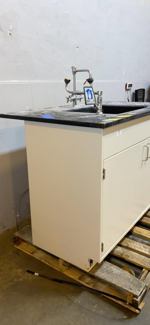 50x30x36" Jamestown Lab Casework Sink w/ Top(S6LLST6478)