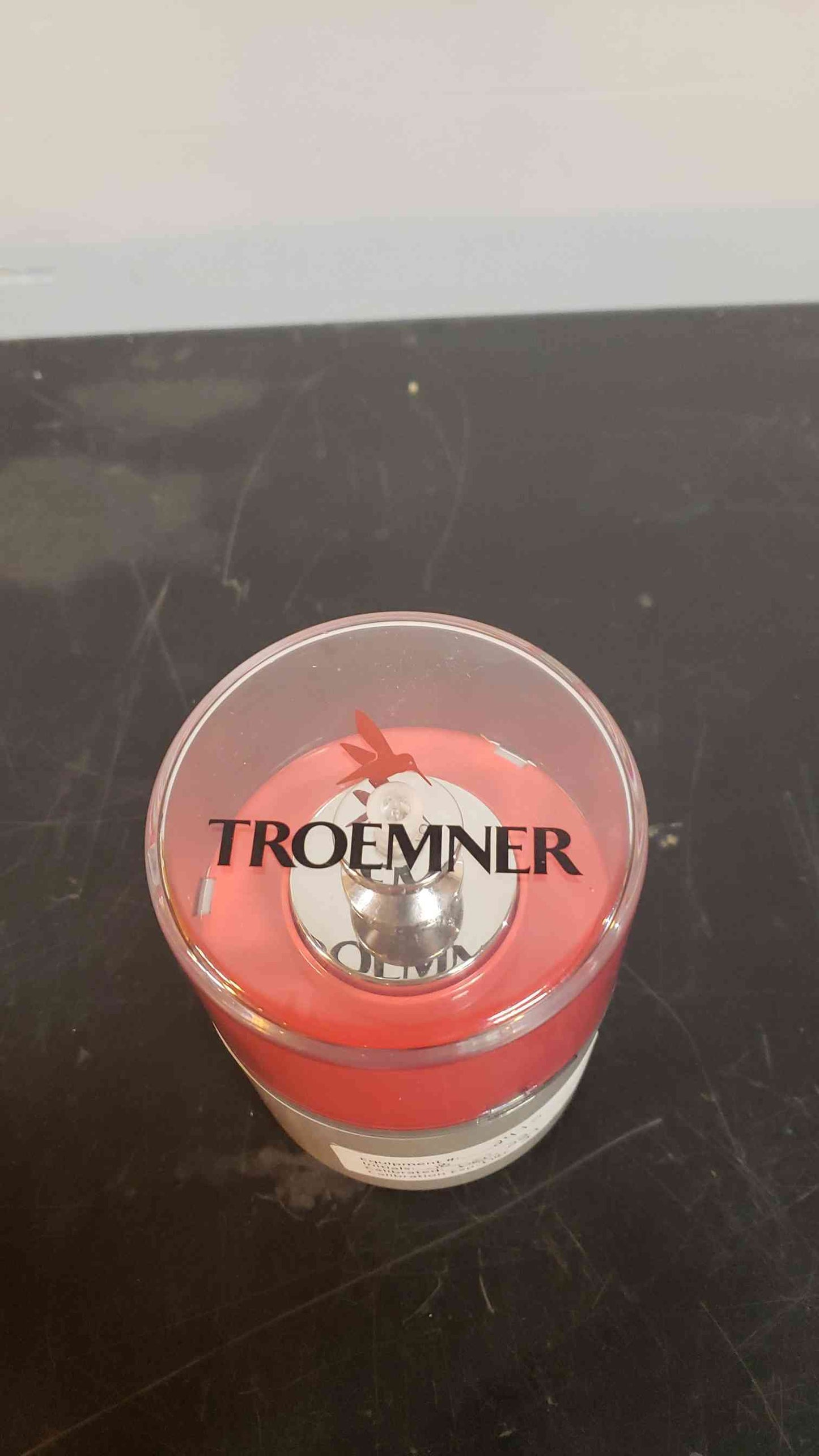 TROEMNER 500g Reference Weight (SKU: 5404AA)(5404AA)