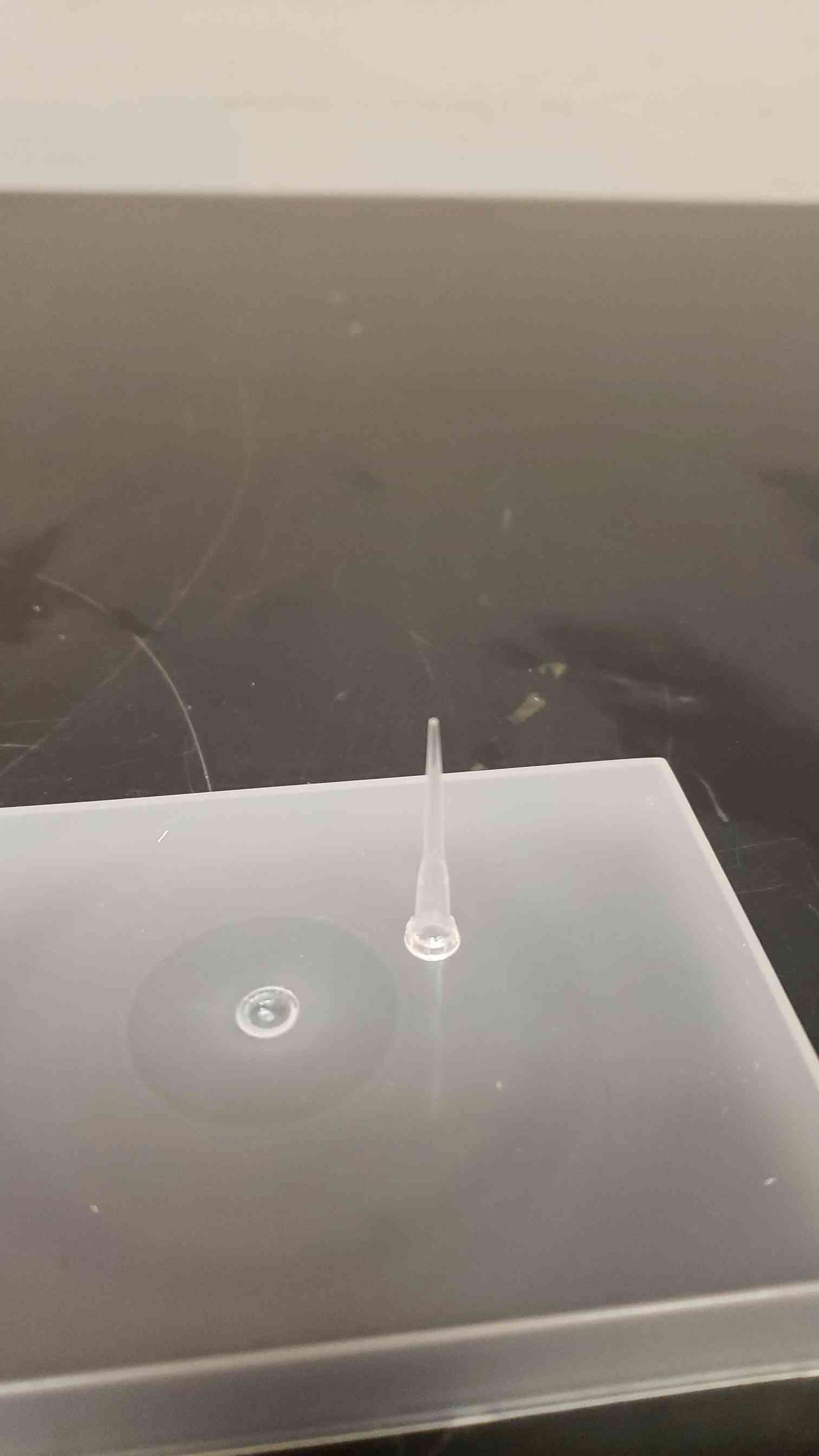 Lot of 4800 MoleTek Filter Tips ASP-MT-20-96 (SKU: 4873AA)