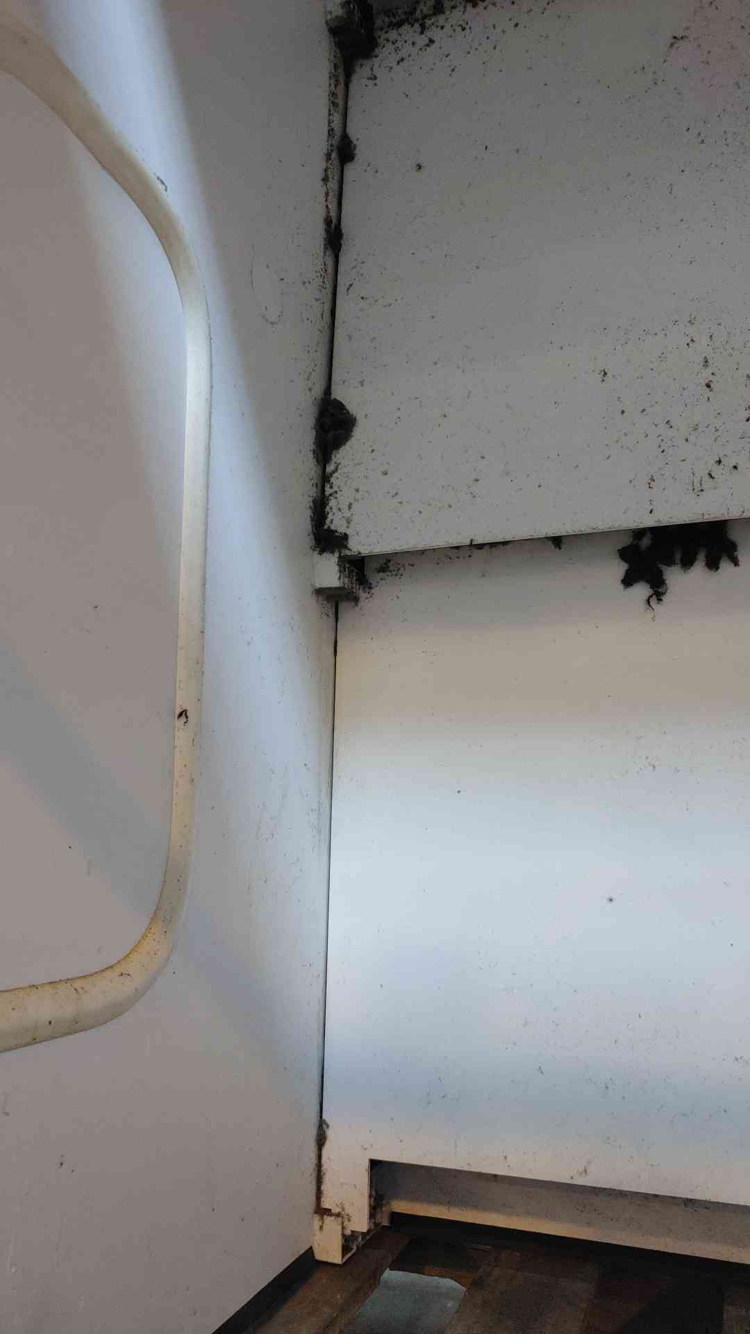 Thermo Scientific 4' Hamilton Concept Fume Hood (SKU:101634)(101634)