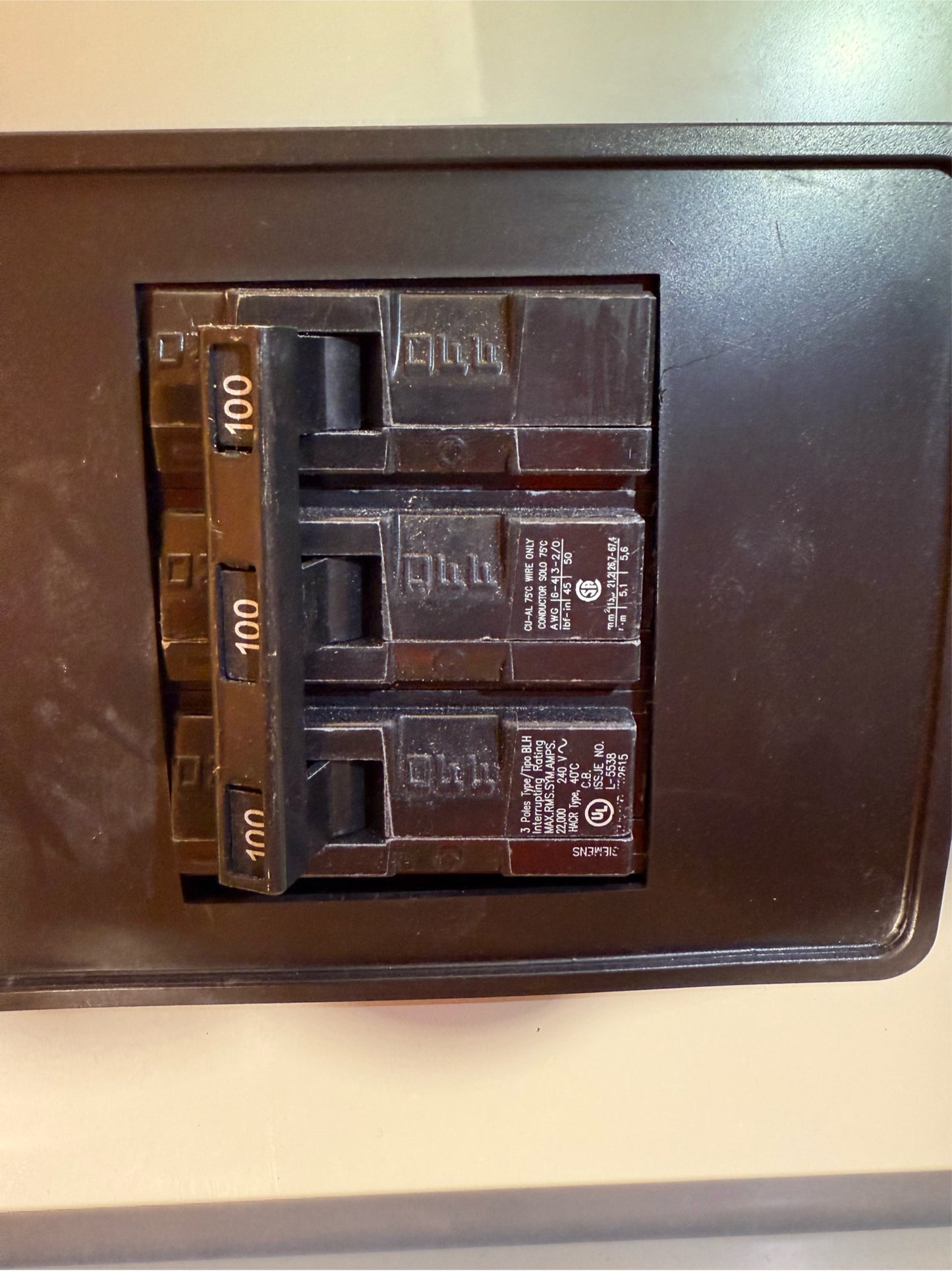East Coast Panelboard 250A 208Y/120V 3PH 8 Breakers 1 Main(SKU: 110483)