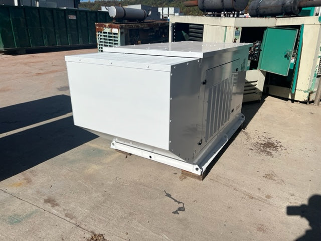 30KW Generator Lynx NG & LP 1PH&3Ph Painted / LOAD TESTED-56088