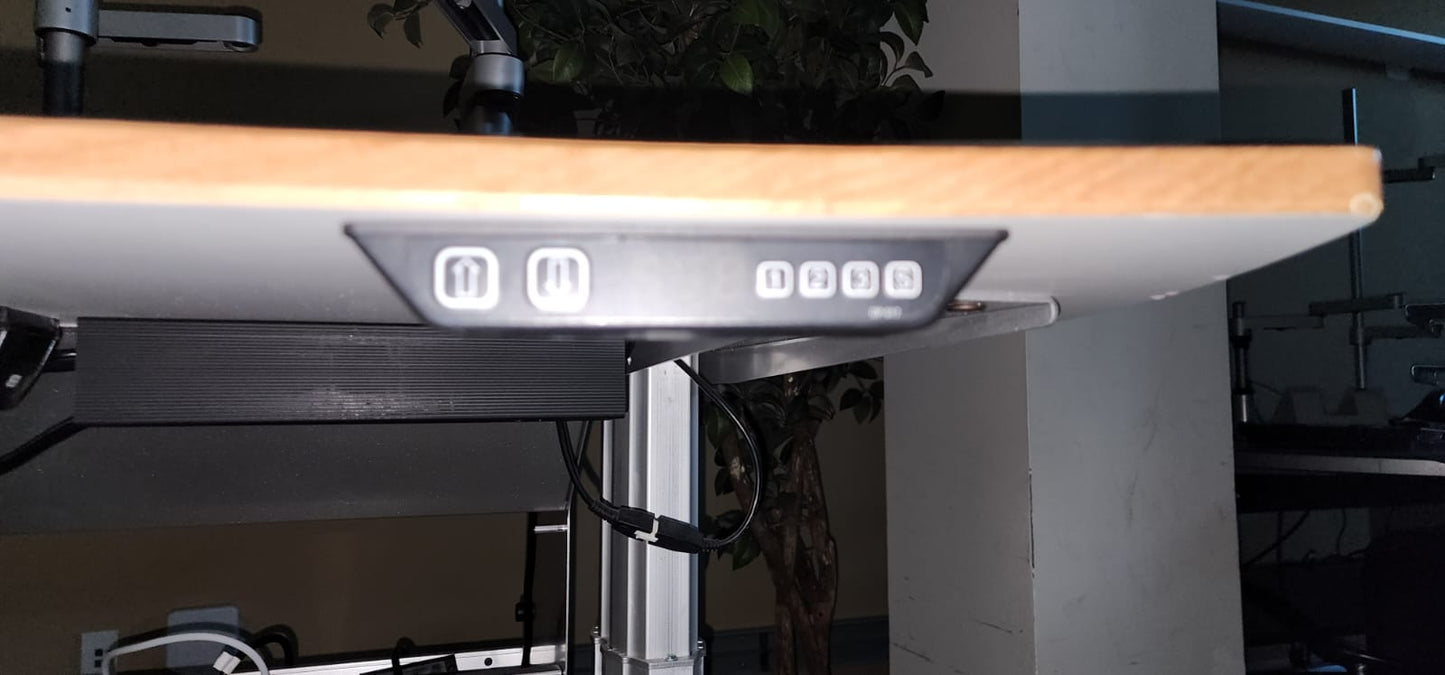 Wood Top Adjustable Work Desk w/ Linak Controls