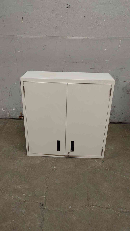 3' Lab Crafters Overhead Casework Swinging Metal Doors (108639)