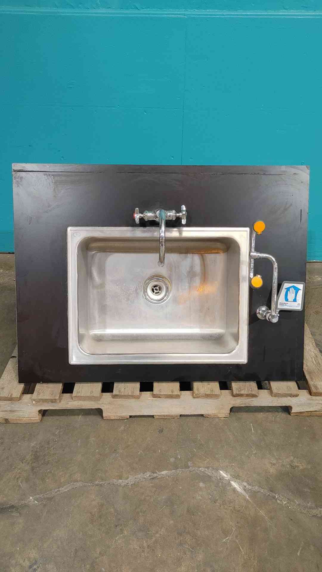 Watersaver Faucet Co Black Lab Sink With Eye Wash (SKU 113953)