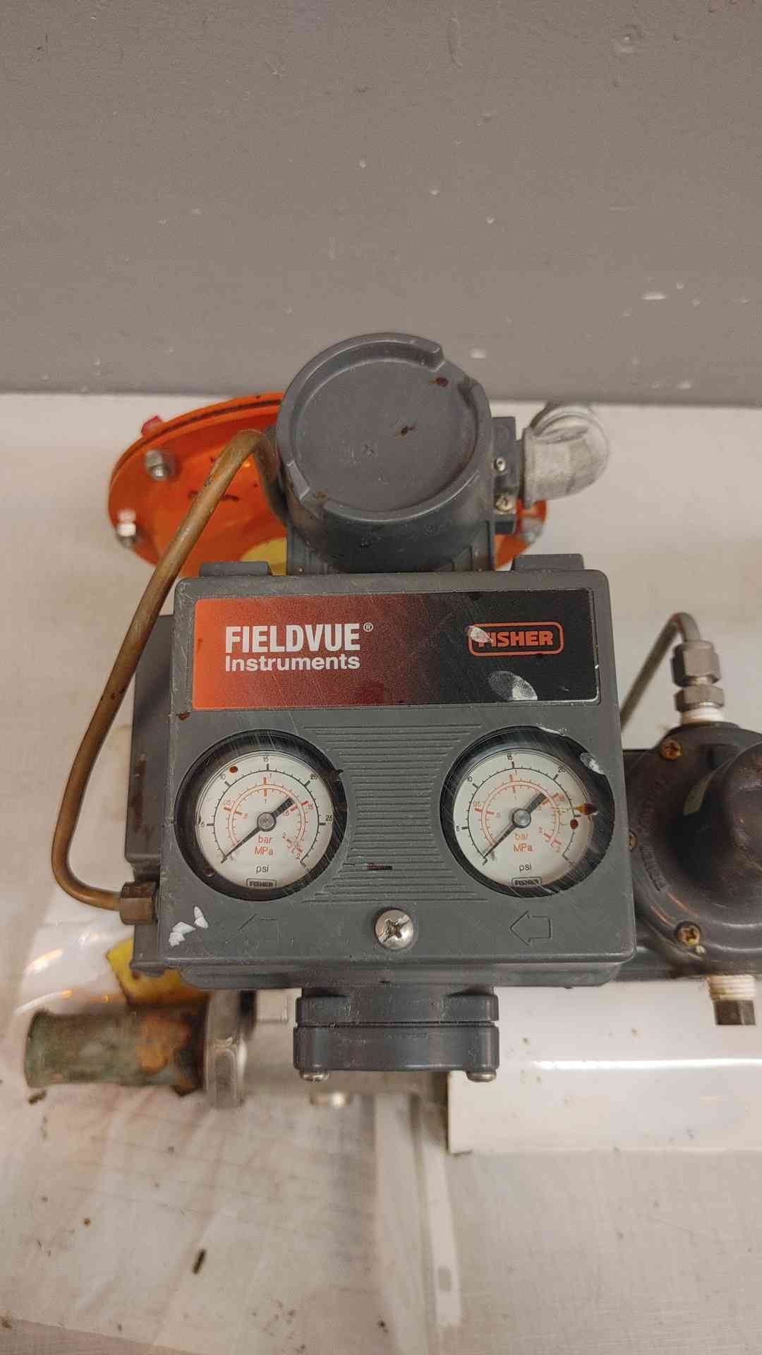 Fisher Fieldvue Instruments & Piping Valves (1635AA)(1635AA)