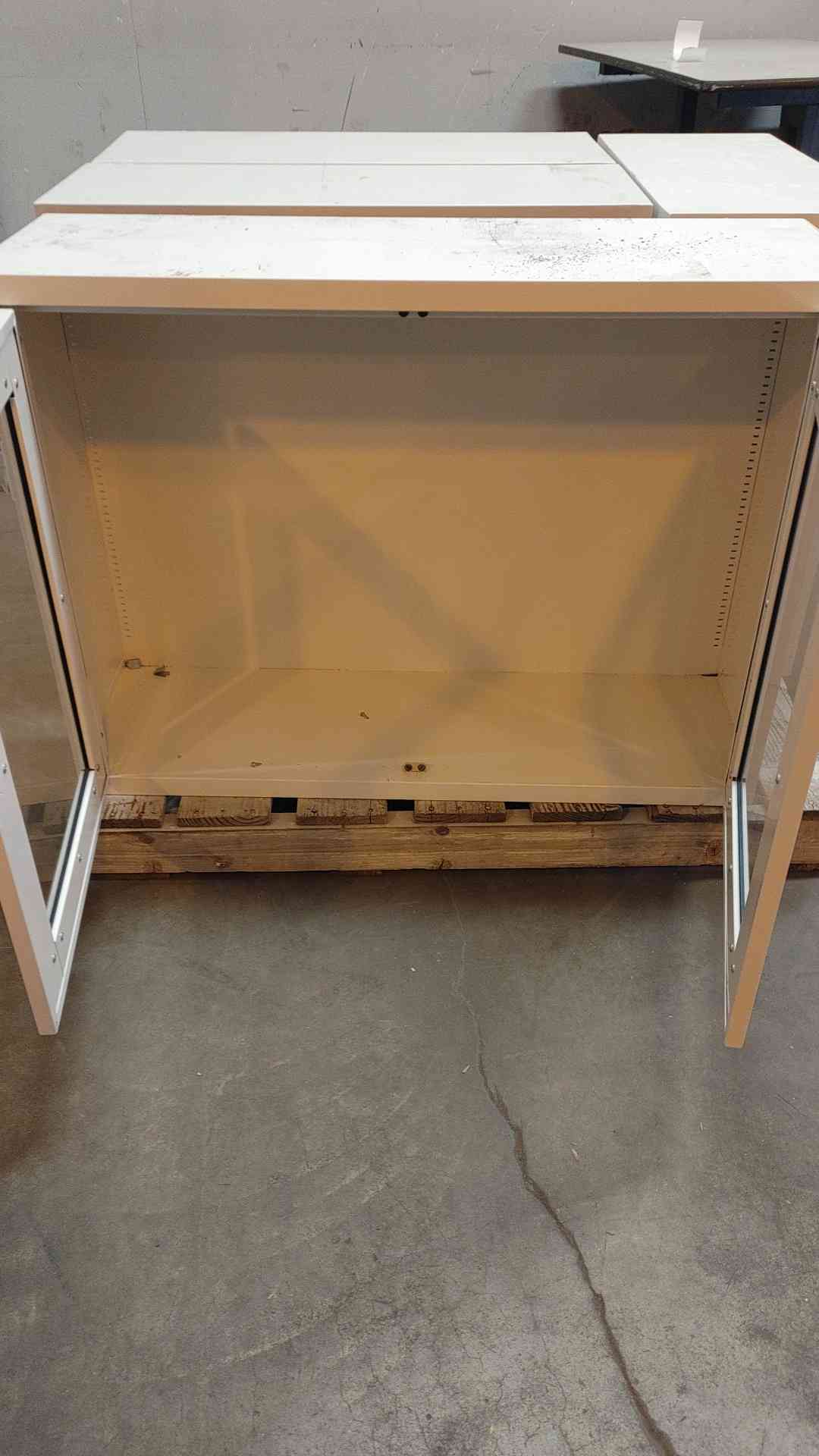 41" Recessed Overhead Casework Glass swinging Doors (108754)