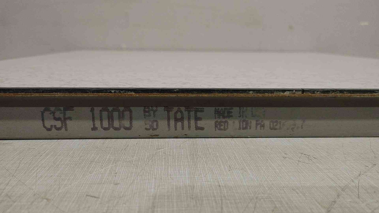 TATE CSF1000 2'x2' Raised Floor Tile (SKU: 112203)