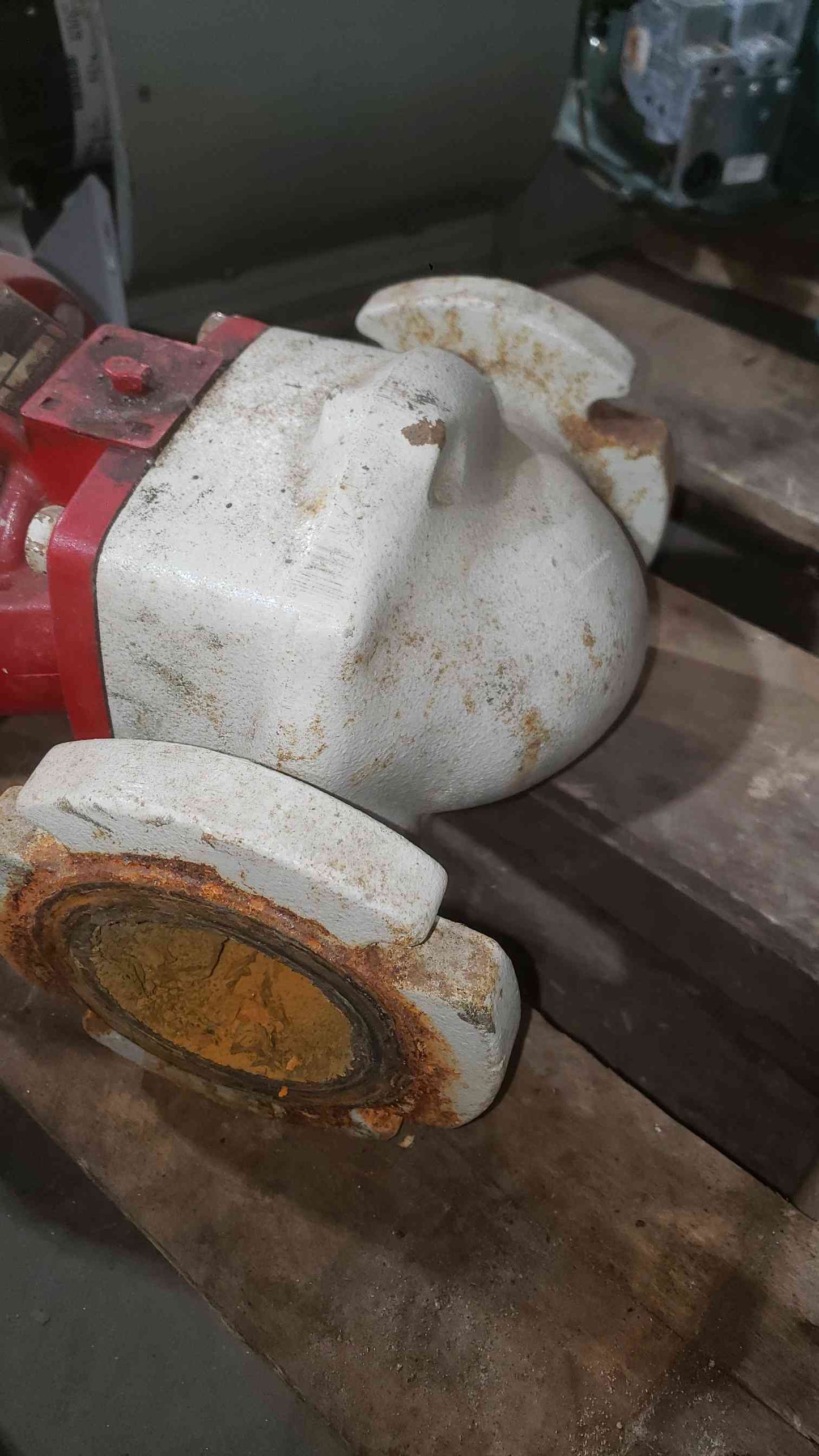 Bell & Gossett 1/4 HP 115V 3A 1PH AC Motor (SKU: 112223)