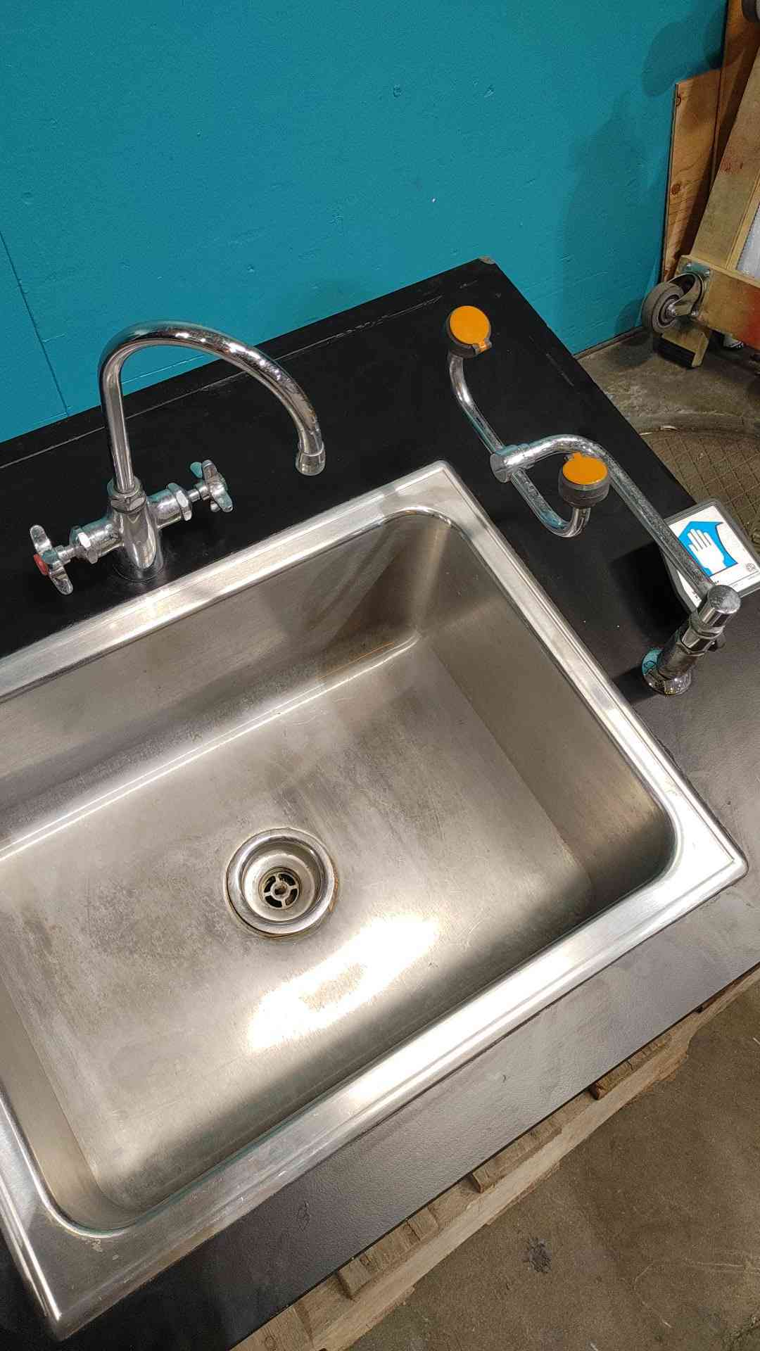 Watersaver Faucet Co Black Lab Sink With Eye Wash (SKU 113953)