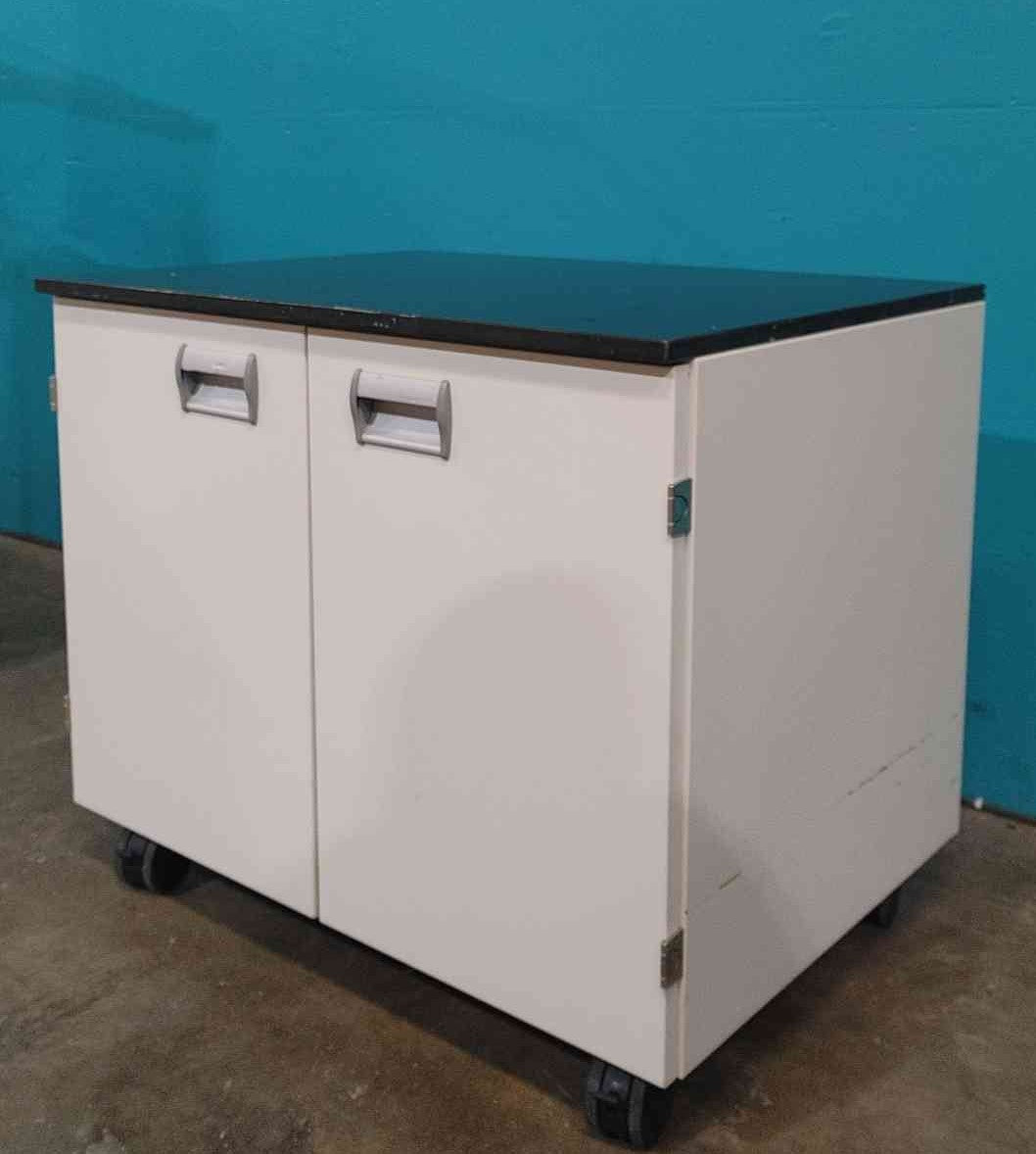30" Rolling Lab Cabinet W/Shelf Double Door (Sku:115132)