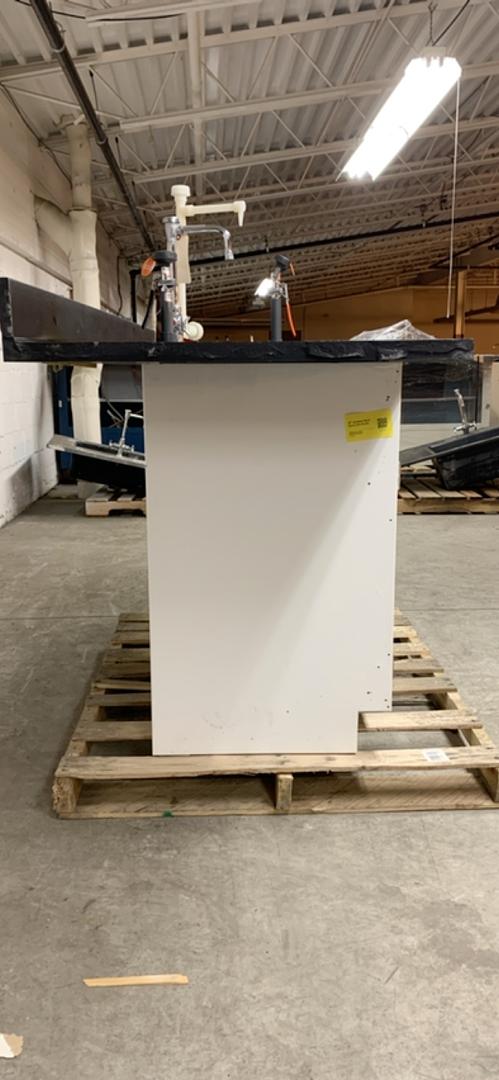 90"x30" Jamestown Epoxy Sink w/ Fixtures Eyewash Hose(S6LLST2289)