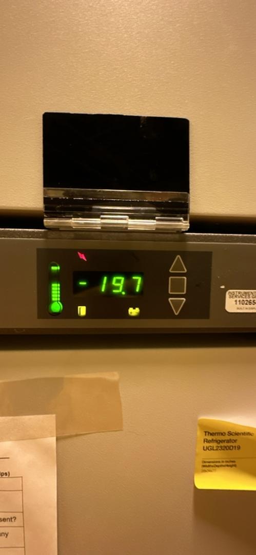 Tested-19.7 degrees Thermo Scientific Refrigerator UGL2320D19(S6LLST6978)