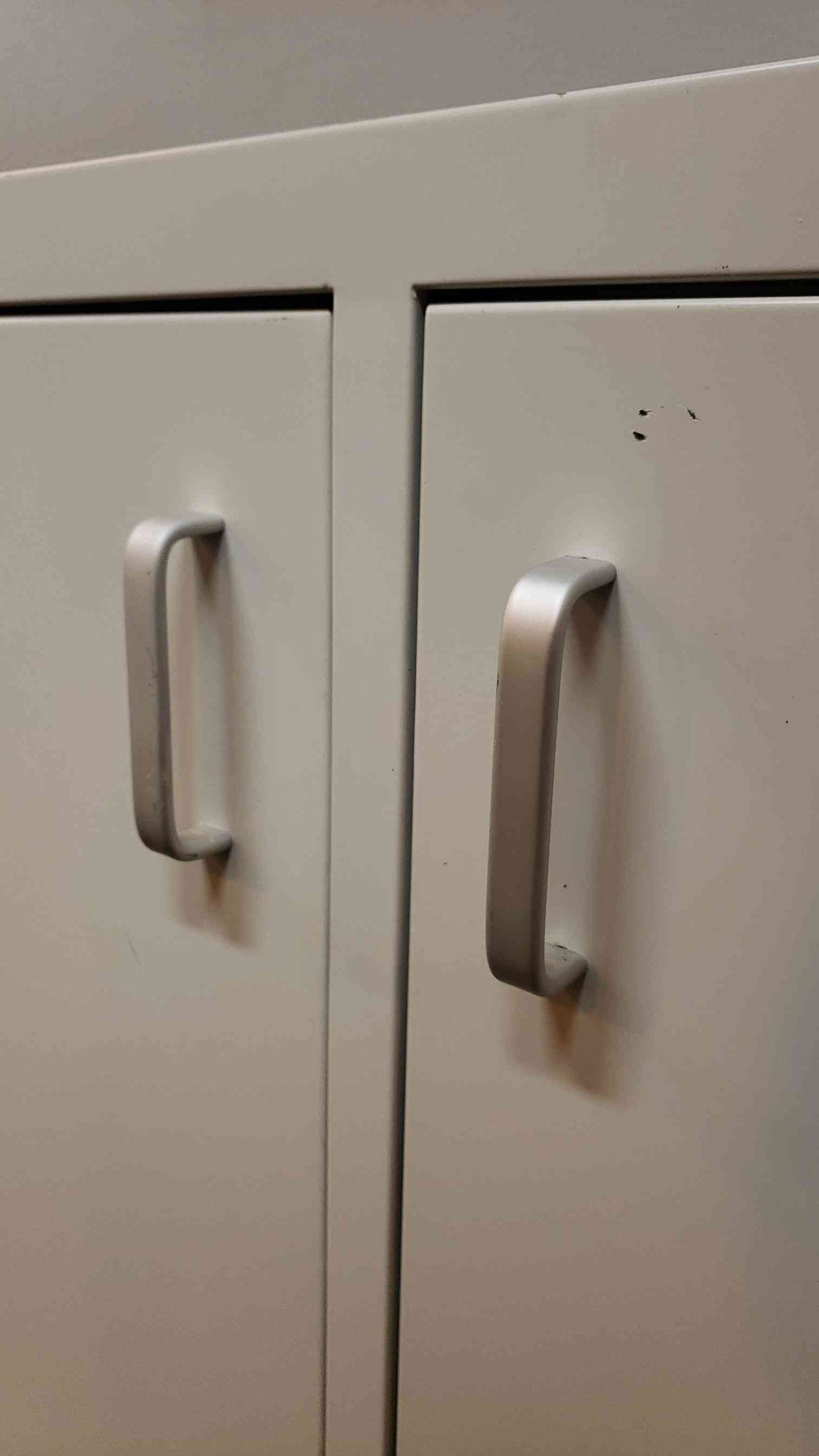 48x22x35 2 Door Casework(100395)