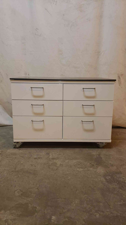 6 Drawer Rolling Casework Metal with Epoxy Top (1143AA)(1143AA)