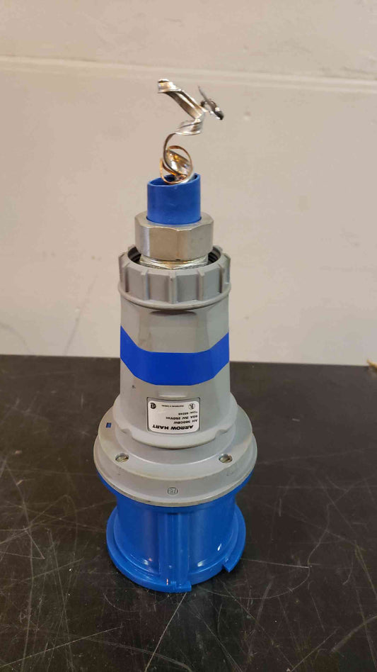 Arrow Hart 60A 3W 250VAC Plug 360C6W(103316)