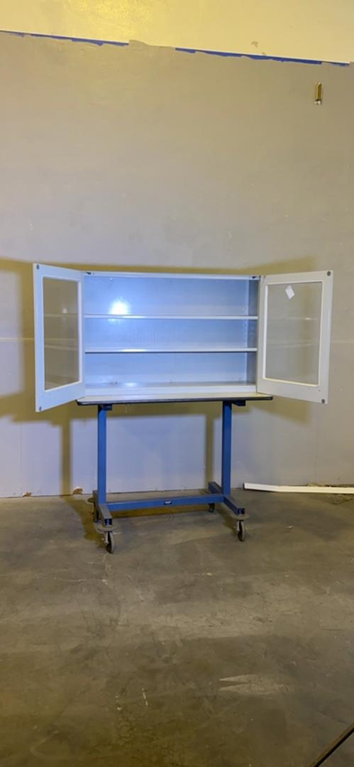 48x13x30" St. Charles Overhead Casework Cabinet w/ Swinging Doors(S6LLST4340)