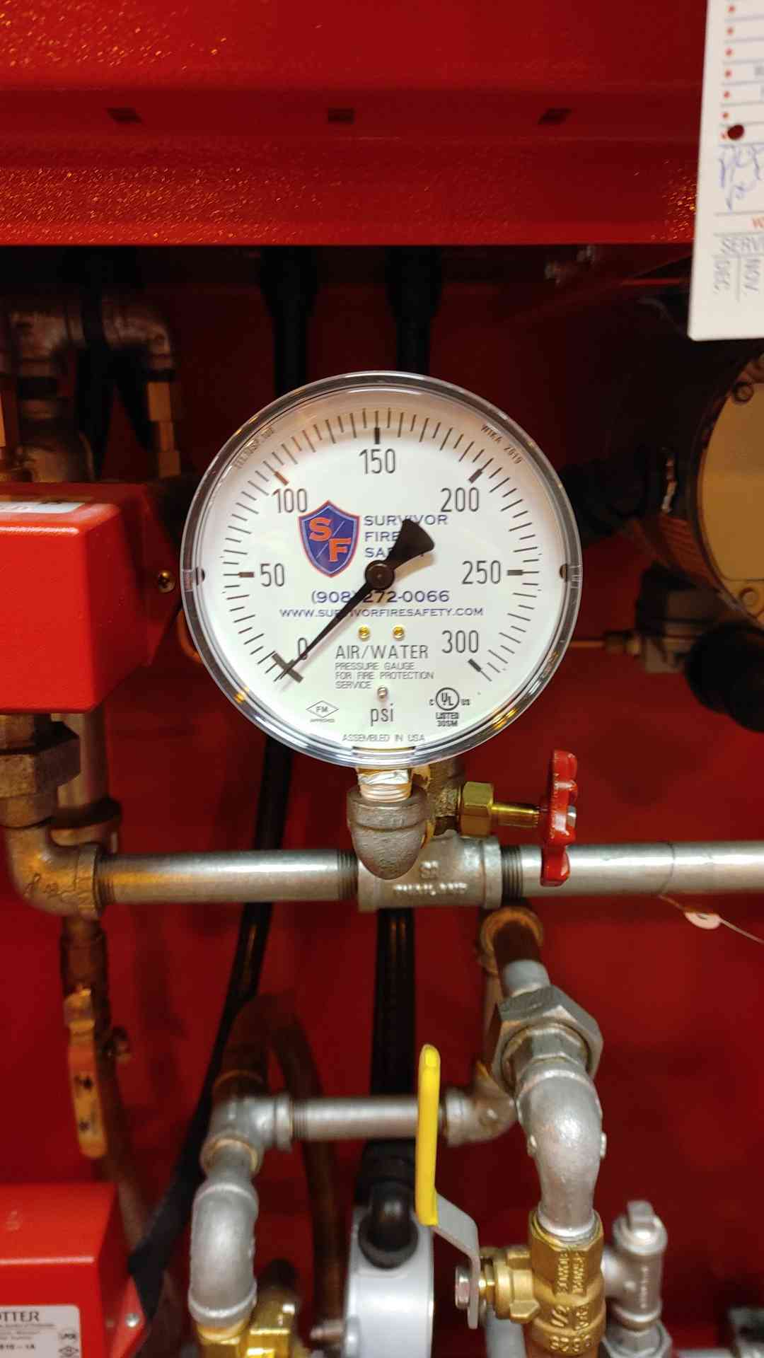 Viking Special System Water Control TotalPac2 120VAC 1.2A 175PSI 1/6HP TOT22646