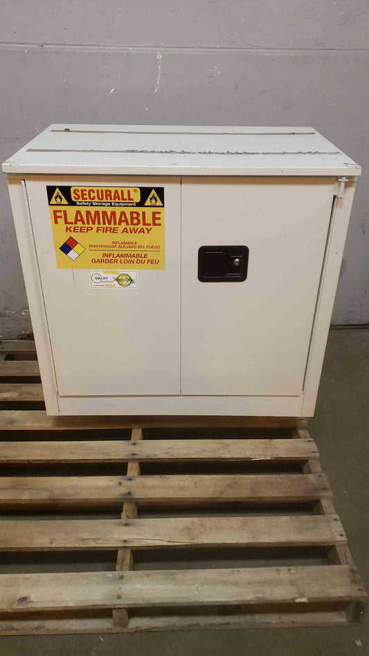 Securall Flammable Cabinet 3' Metal Casework Cabinet (108513)
