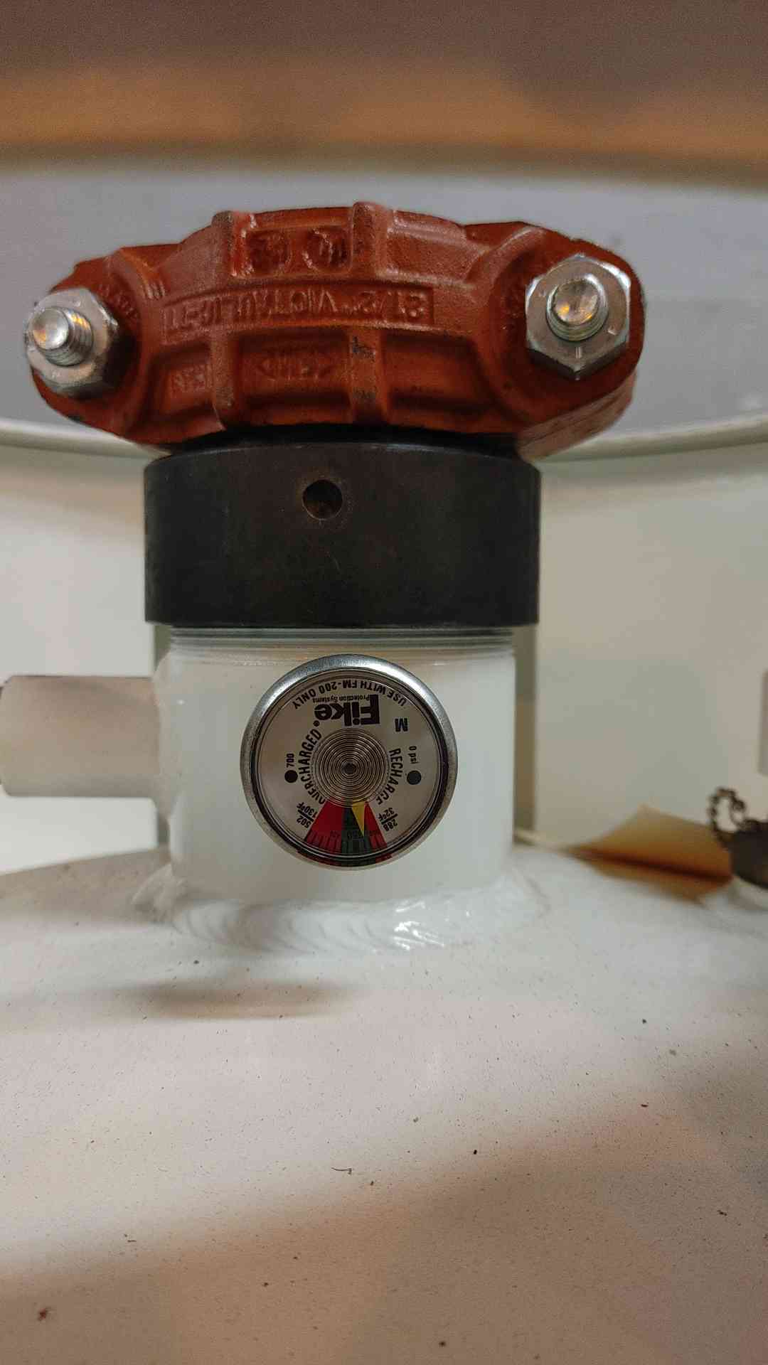 Fike 223 Lbs Clean Agent Extinguishing System Unit FM-200 (109314)