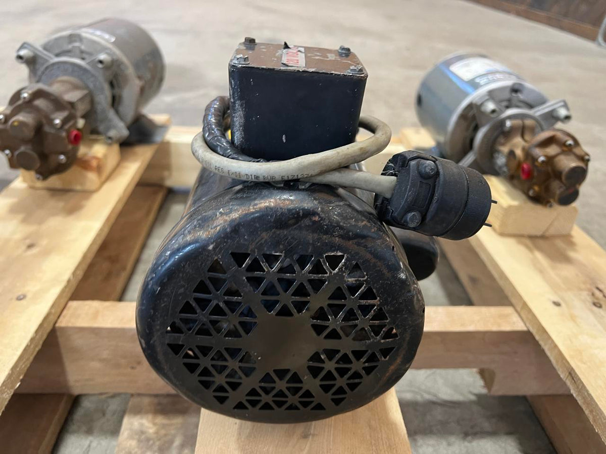 1/3 HP AC Electric Motor 60 Hz 120/230 Volts DSLP1023