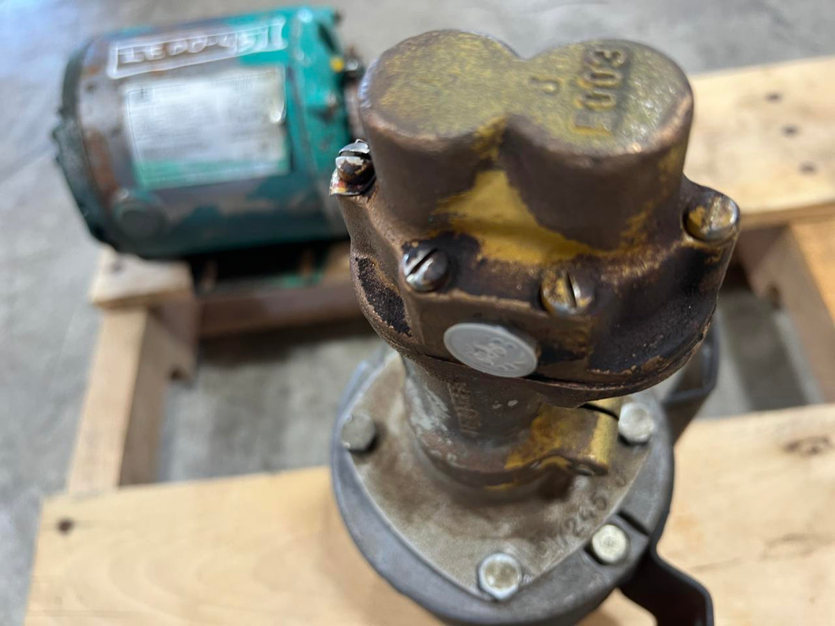 Fuel Transfer Pump, 12 Volt DC for Diesel Fuel