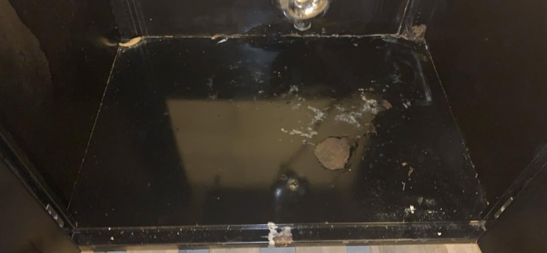 5' St Charles Lab Casework Sink Assembly w/ Stainless Basin(S6LLST0538)