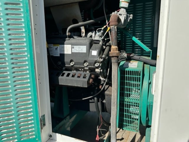 Low Hour Ford WSG1068 85KW Natural Gas Generator Set - DPC1205